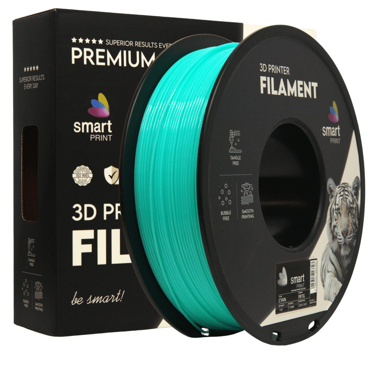 PETG cyan | Smart Print